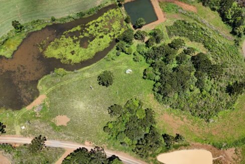 WhatsApp Image 2026-02-09 at 16.56.36 (3)