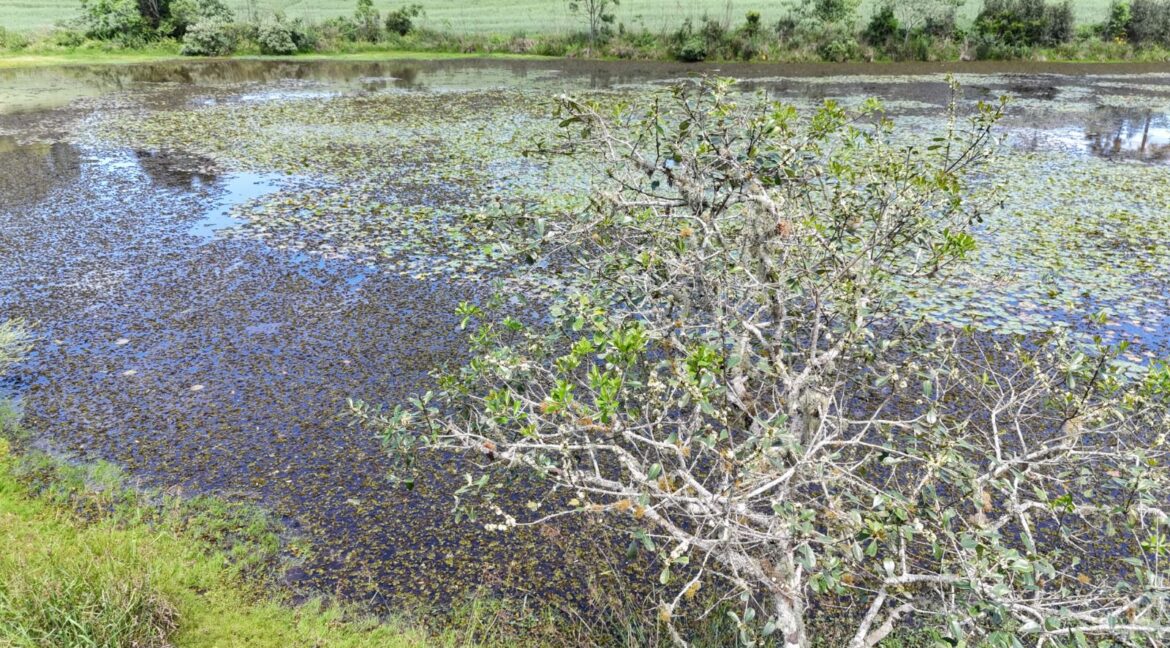 WhatsApp Image 2026-02-09 at 16.56.37 (1)