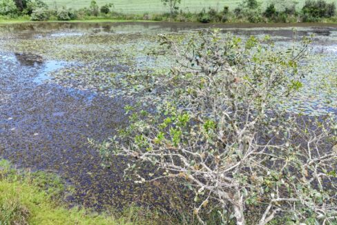 WhatsApp Image 2026-02-09 at 16.56.37 (1)