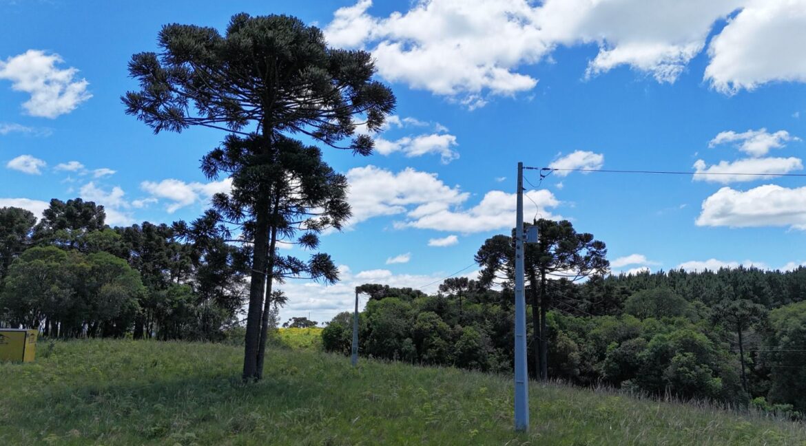 WhatsApp Image 2026-02-09 at 16.56.37