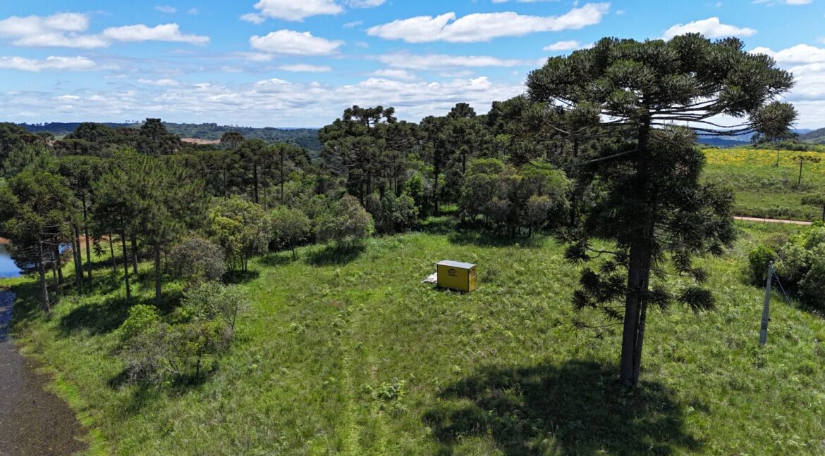 WhatsApp Image 2026-02-09 at 16.56.37 (2)