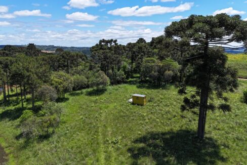 WhatsApp Image 2026-02-09 at 16.56.37 (2)