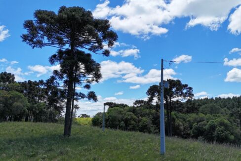 WhatsApp Image 2026-02-09 at 16.56.37