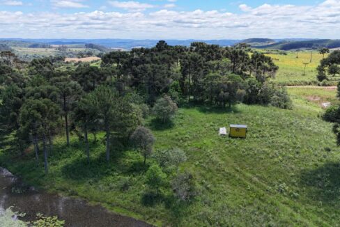 WhatsApp Image 2026-02-09 at 16.56.38 (1)