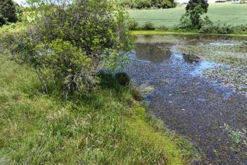 WhatsApp Image 2026-02-09 at 16.56.38 (2)