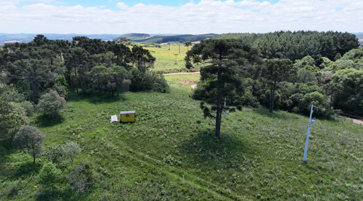 WhatsApp Image 2026-02-09 at 16.56.38 (3)