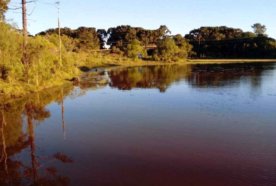 WhatsApp Image 2026-02-09 at 16.56.38