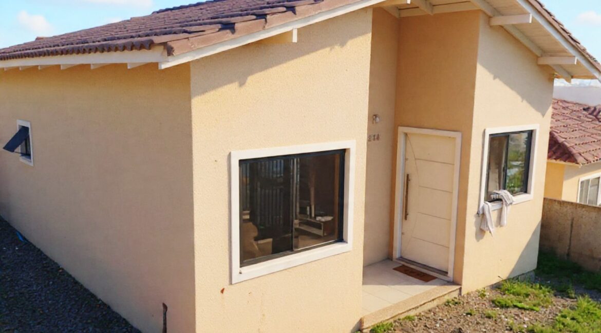 WhatsApp Image 2026-02-24 at 16.28.49