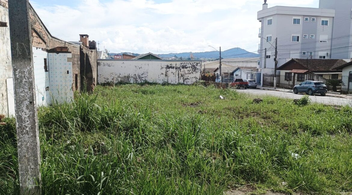 WhatsApp Image 2026-04-14 at 11.06.27