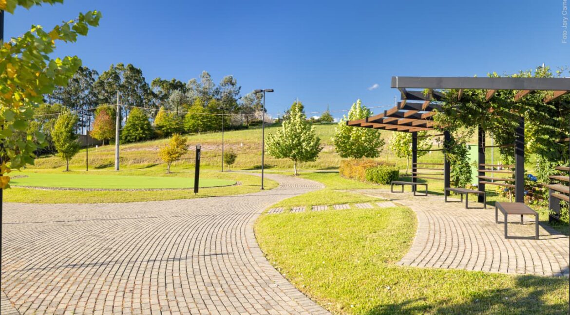 WhatsApp Image 2026-04-20 at 20.50.09